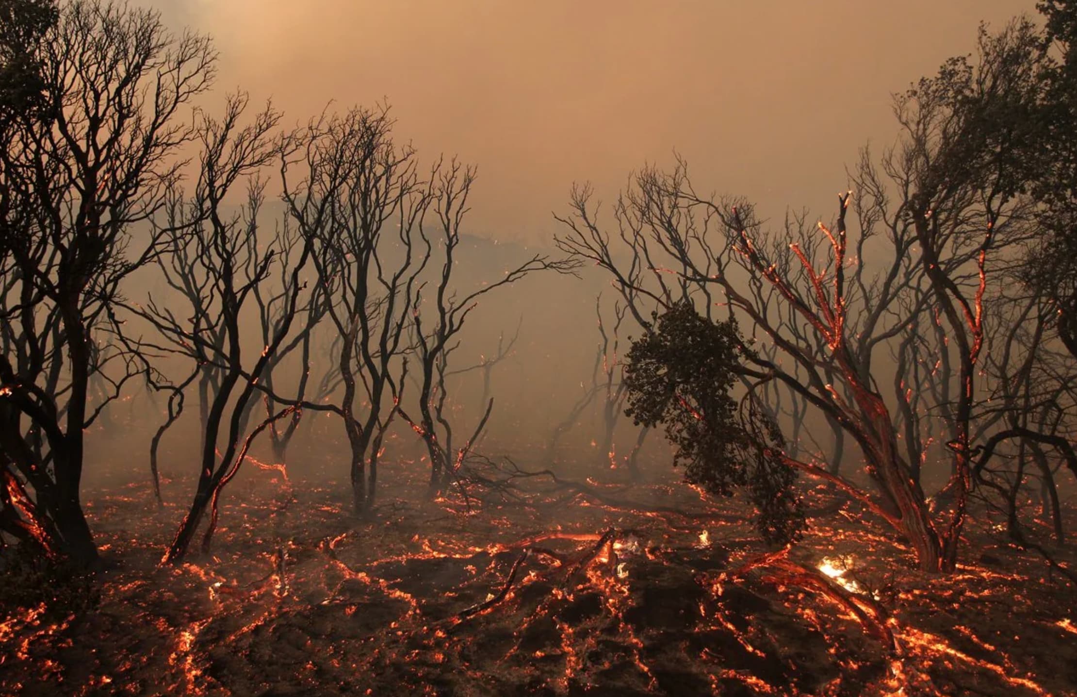 28 Disastrous Photos of the California Wildfires